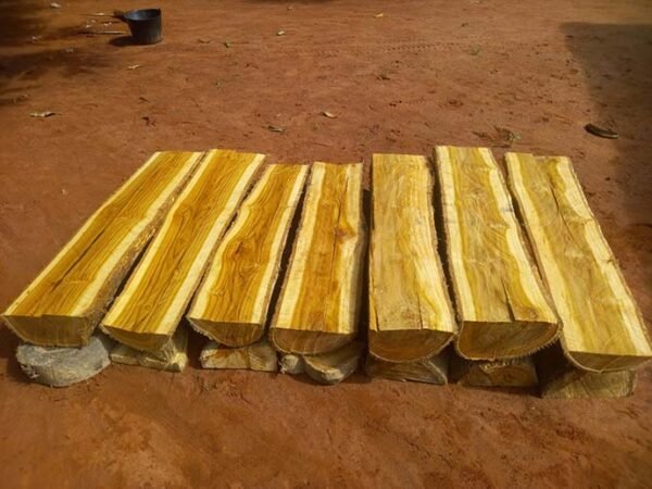 buy teak wood logs