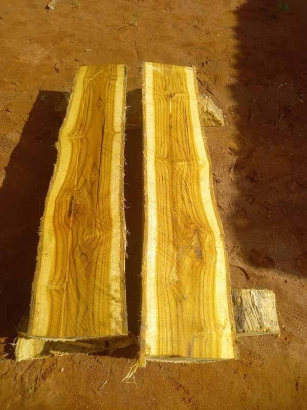 teak wood for sale