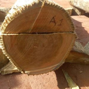 Teak Logs